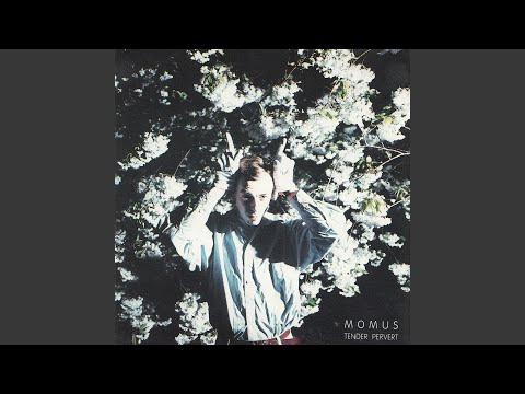 Bishonen video