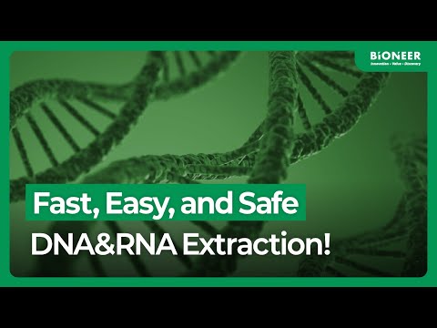 AccuNanoBead™: An Innovative Magnetic Nanobead-Based Nucleic Acid Extraction Solution