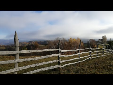 Excursie la Platoul Luncanilor