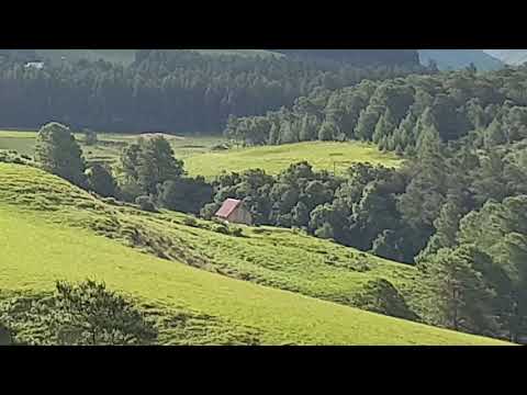 Drakensberg  Lower Loteni