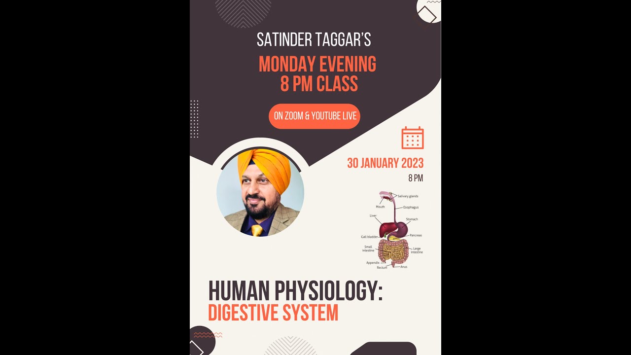 Human Physiology- Digestive System