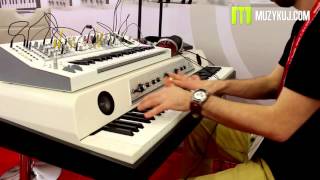 Video thumbnail for Waldorf Zarenbourg MusikMesse 2016 by muzykujkropkacom