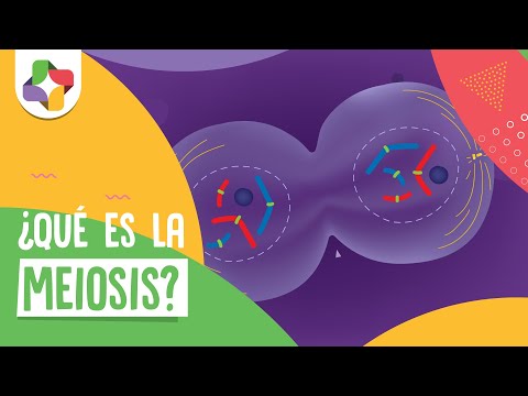 These organisms are