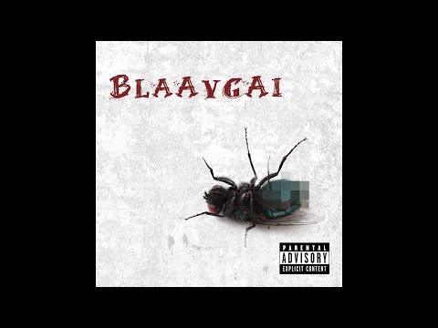 Rokit Bay - BLAAVGAI