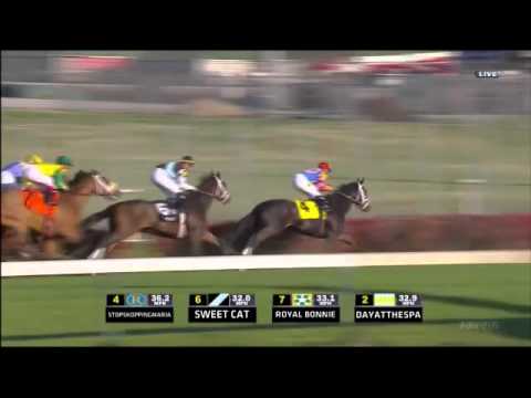 2011 Breeders' Cup Juvenile Fillies Turf