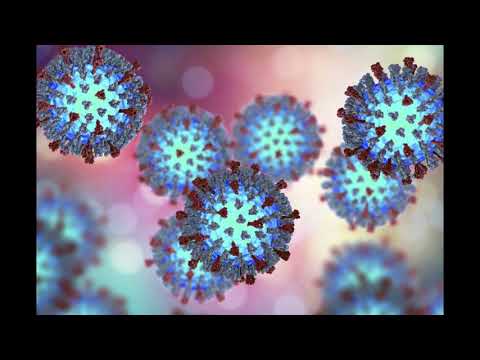 Zając-Hot16(Prod.RPbeats)