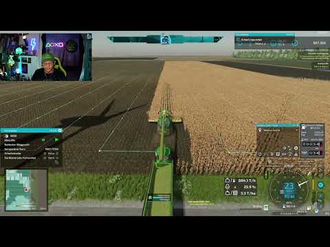 Hier mein Statement zur AnniTheDuck Thematik