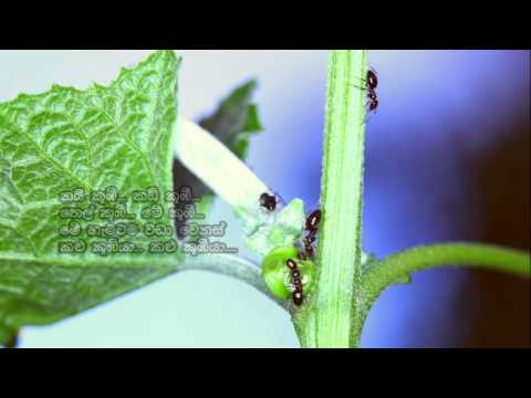 Gamana Bimana Hari Kadisara - ගමන බිමන හරි කඩිසර