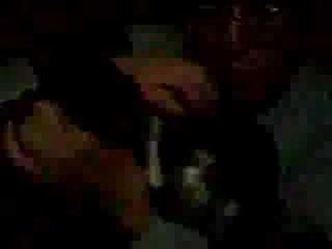 paulinhofácil&pitucamaluca