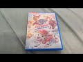 PAW PATROL SUMMER RESCUES DVD Overview
