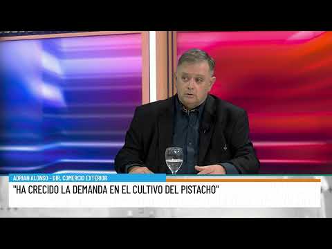 "Ha crecido la demanda en el cultivo de Pistacho en San Juan"