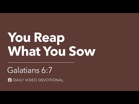 You Reap What You Sow | Galatians 6:7 | Our Daily Bread Video Devotional