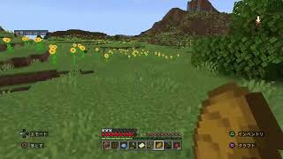 2年くらい放置してたから色々増えすぎてるであろうマイクラ