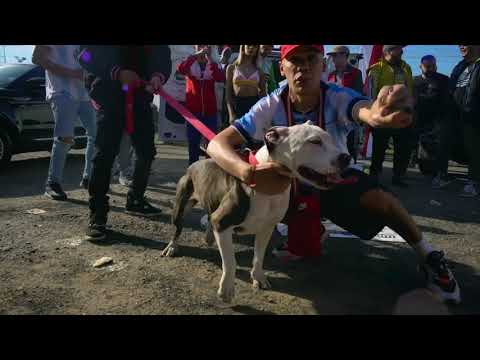 TIRRI LA ROCA RKT - TIRRI LA ROCA _AL RECORDS_ DT BILARDO