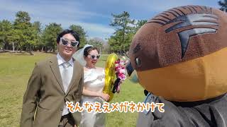 2026/4/23放送・知ったかぶりカイツブリにゅーす