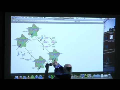 #20 BB 350 Translation II - Kevin Ahern's Biochemistry Online