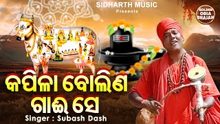 Kapila Bolina Gai Se Popular Bhajan Subash Dash କପିଳା ବୋଲିଣ ଗାଈ ସେ Golden Bhajan