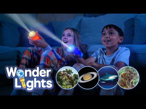 WONDER LIGHTS SHARKS