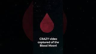 We captured the CRAZIEST timelapse of the Blood Moon!