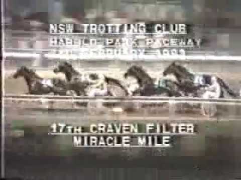 1983 Miracle Mile Winner Popular Alm