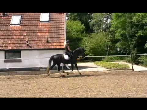 4jarige ruin Radisson X Silvio