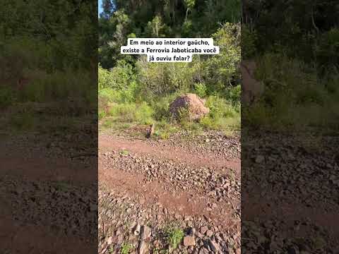 Em meio ao interior gaúcho, existe a Ferrovia Jaboticaba, você já ouviu falar? #trem #riograndedosul