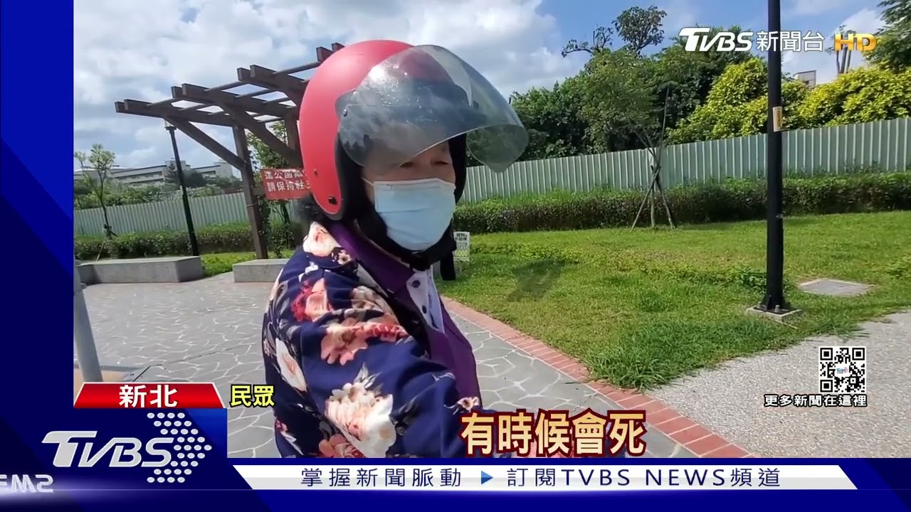 地震太晃?遊憩區猴子「疑被搖暈」高處墜落