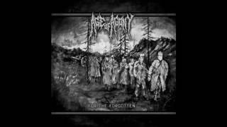 Age of Agony - The 12th Battle