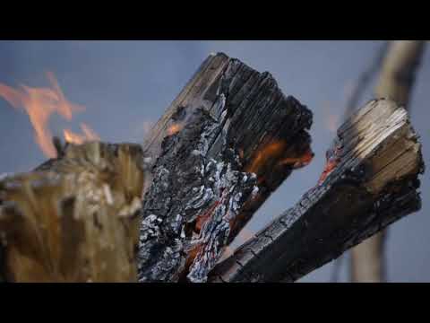 Berga Kunskapsskog, Västerbotten