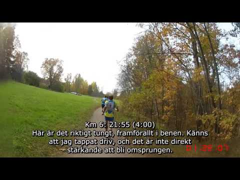 Karlslundsloppet 2014 - 10 km (Löparperspektiv, lång)