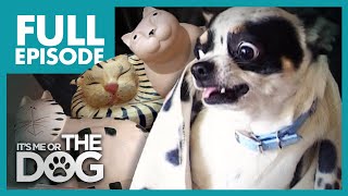 Thumbnail del capítulo