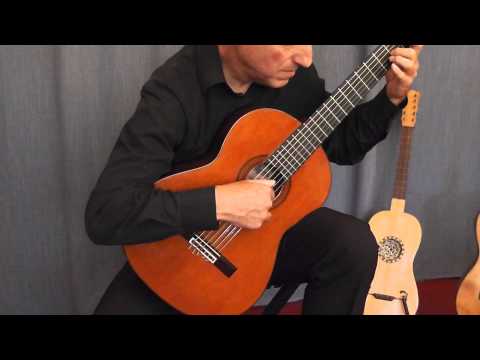 Massimo Agostinelli plays Maria Linnemann: The Fossegrim (from Norwegian Miniatures)