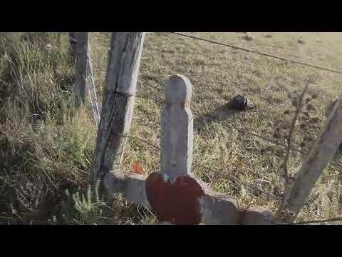 LA CRUZ UBICADA A LA ENTRADA DE GOÑI, DEP. DE FLORIDA - La Macana "Corazón del Mundo"