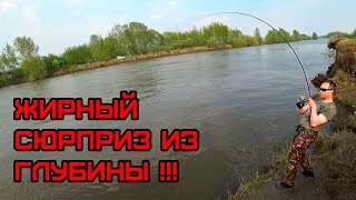 Ловили Судака и тут СЮРПРИЗ... Рыбалка в Новосибирске!!! фото