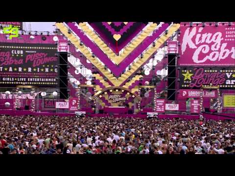Decibel outdoor festival 2014 - Ruthless DJ set