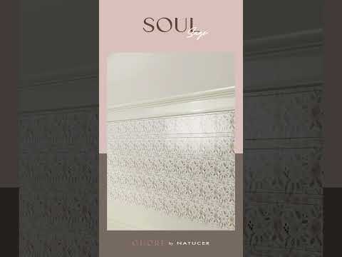 Imagen representativa video