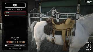 【RDR2】西部の町で良い人になりたい！#10【桜春】
