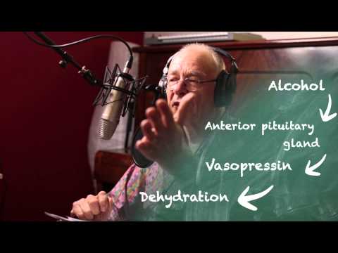 The Science of Breaking The Seal