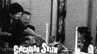 Circadian Skizm LIVE - 11.24.2010 @ Oxygen