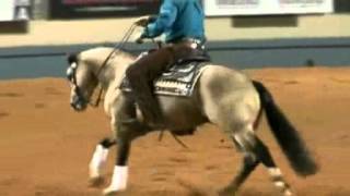 Reining  ( Wagon Wheel )