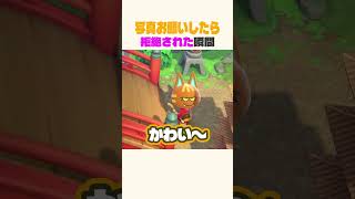 初期住民はどんな顔でも愛せる #あつ森
