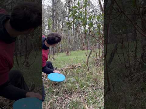 The yang has helped me in countless sticky situations☯️ #ev7 #cardinal #discgolf