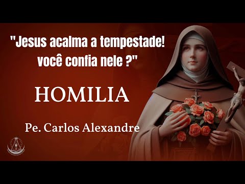 HOMILIA MISSA DAS ROSAS SANTA TERESINHA | Pe. CARLOS ALEXANDRE - 01/02/2025
