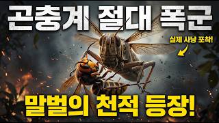 🚨말벌의 천적 등장🚨 극강의 전투력으로 말벌을 사냥하는 괴물들 5선 💥#말벌#말벌천적#곤충계괴물#사기캐생물#자연의신비#장수말벌#약육강식#생태계최강자#곤충다큐 #야생의생존#곤충