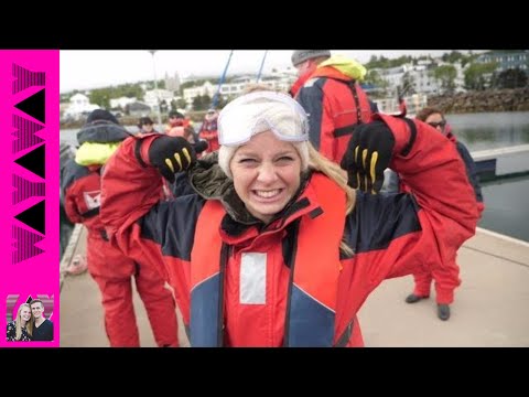 Whale Watching In Akureyri Iceland! 🐋😱