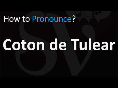 How to Pronounce Coton de Tulear? (CORRECTLY)