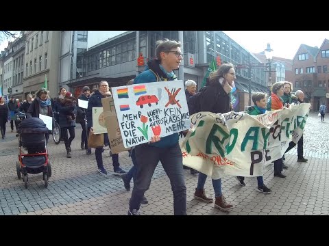 Fridays for Future Peine - Demo 03.03.2023