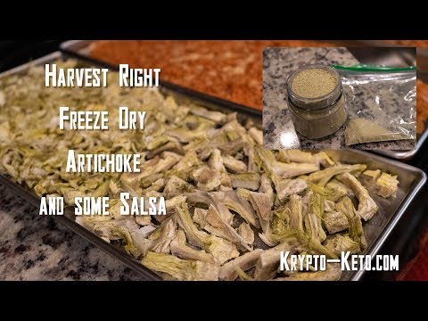 download lagu mp3 mp4 Dried Artichoke, download lagu Dried Artichoke gratis, unduh video klip Dried Artichoke