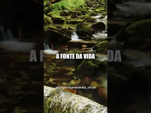 [CORTES ICM] - Em Ti eu encontro