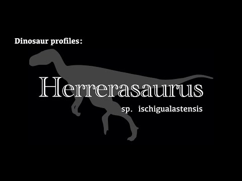 Dinosaur Profile: Herrerasaurus